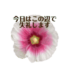 お花の贈り物（日常挨拶・敬語）（個別スタンプ：35）