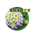 お花の贈り物（日常挨拶・敬語）（個別スタンプ：37）