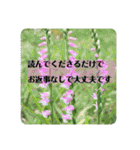 お花の贈り物（日常挨拶・敬語）（個別スタンプ：38）