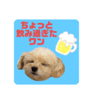 プリティーチワプー（個別スタンプ：27）
