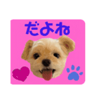 プリティーチワプー（個別スタンプ：33）