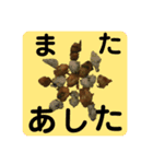 三宅水産コラボ！蒲鉾便利に使う日常の挨拶（個別スタンプ：6）