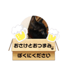 猫の日常の呟き（個別スタンプ：3）