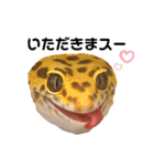 ヒョウモントカゲモドキのオムライス 3（個別スタンプ：10）