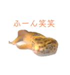ヒョウモントカゲモドキのオムライス 3（個別スタンプ：13）