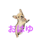 紬姫(国宝)（個別スタンプ：3）