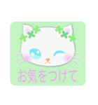 ラブリーな猫の赤ちゃんとお花（個別スタンプ：35）