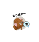 くれさん日常（個別スタンプ：3）