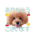 びい君と仲間たち No.3（個別スタンプ：2）