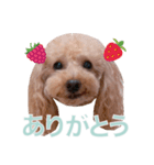 びい君と仲間たち No.3（個別スタンプ：3）