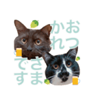 びい君と仲間たち No.3（個別スタンプ：4）