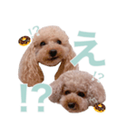 びい君と仲間たち No.3（個別スタンプ：7）