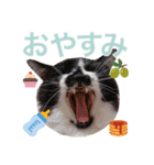 びい君と仲間たち No.3（個別スタンプ：8）