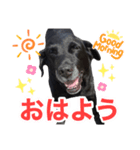 れんくんスタンプ（1）（個別スタンプ：1）