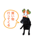 れんくんスタンプ（1）（個別スタンプ：3）