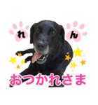 れんくんスタンプ（1）（個別スタンプ：6）