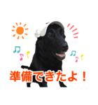 れんくんスタンプ（1）（個別スタンプ：7）