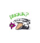 態度の悪いテグー（個別スタンプ：11）