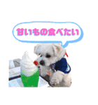 へいちゃんスタンプ第2弾（個別スタンプ：17）