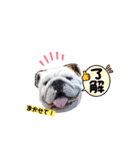 もも・てん・やまと！（個別スタンプ：7）