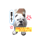 もも・てん・やまと！（個別スタンプ：11）