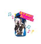 もも・てん・やまと！（個別スタンプ：13）