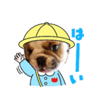ブルドッグ蘭丸スタンプ（個別スタンプ：3）