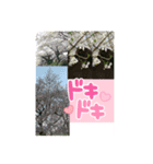 ふぉ〜と（個別スタンプ：1）