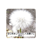 オプちゃで使えるスタンプ（個別スタンプ：1）