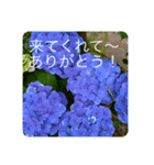オプちゃで使えるスタンプ（個別スタンプ：7）