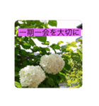 オプちゃで使えるスタンプ（個別スタンプ：9）