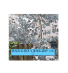 オプちゃで使えるスタンプ（個別スタンプ：15）