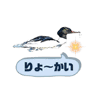 日本の野鳥たち 510（個別スタンプ：2）