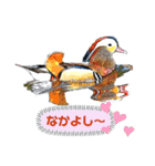 日本の野鳥たち 510（個別スタンプ：5）
