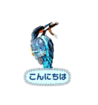 日本の野鳥たち 510（個別スタンプ：14）