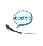 日本の野鳥たち 510（個別スタンプ：19）