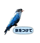 日本の野鳥たち 510（個別スタンプ：28）