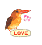 日本の野鳥たち 510（個別スタンプ：32）