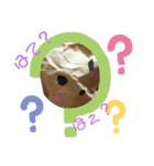 クシャっとくまちゃんkumatyan（個別スタンプ：4）