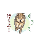 愛の言霊 カタカムナ（個別スタンプ：2）