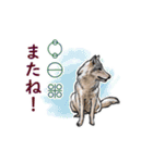 愛の言霊 カタカムナ（個別スタンプ：3）