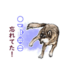 愛の言霊 カタカムナ（個別スタンプ：5）
