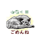 愛の言霊 カタカムナ（個別スタンプ：6）