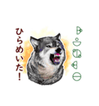 愛の言霊 カタカムナ（個別スタンプ：7）