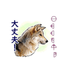 愛の言霊 カタカムナ（個別スタンプ：9）