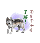 愛の言霊 カタカムナ（個別スタンプ：10）