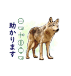 愛の言霊 カタカムナ（個別スタンプ：11）