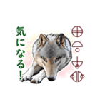 愛の言霊 カタカムナ（個別スタンプ：12）