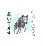 愛の言霊 カタカムナ（個別スタンプ：13）