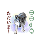愛の言霊 カタカムナ（個別スタンプ：16）